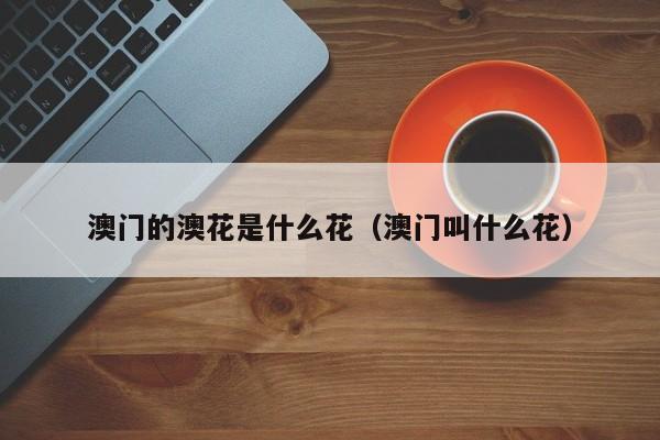 澳门的澳花是什么花（澳门叫什么花）